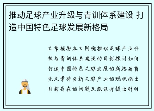 推动足球产业升级与青训体系建设 打造中国特色足球发展新格局