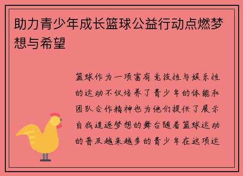 助力青少年成长篮球公益行动点燃梦想与希望
